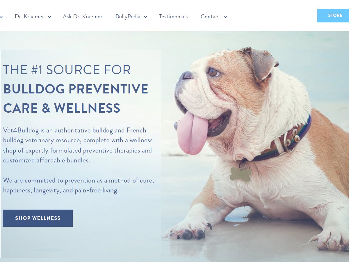 Vet 4 Bulldog